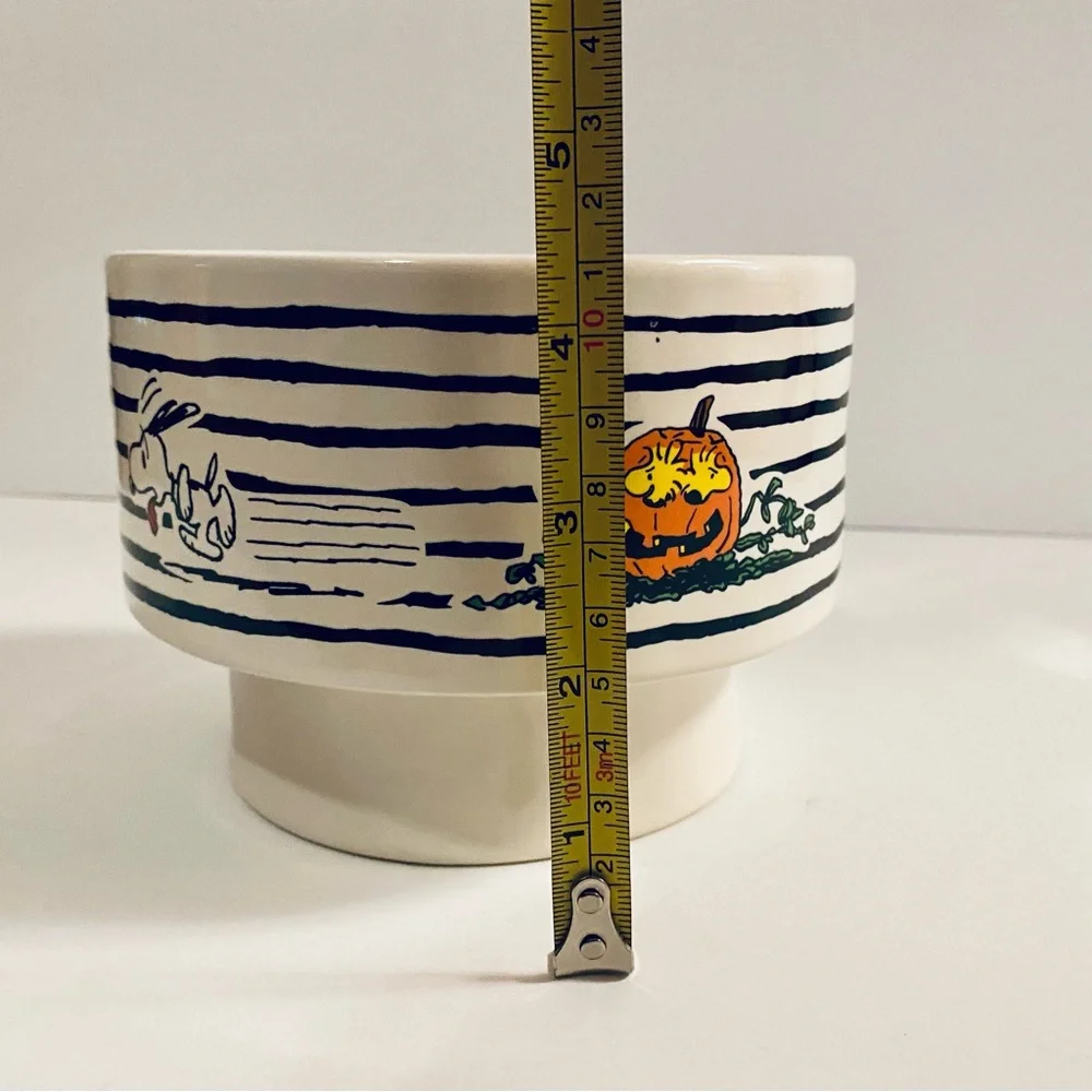 NWOT Rae Dunn Peanuts Dog Bowl Featuring Snoopy and Woodstock